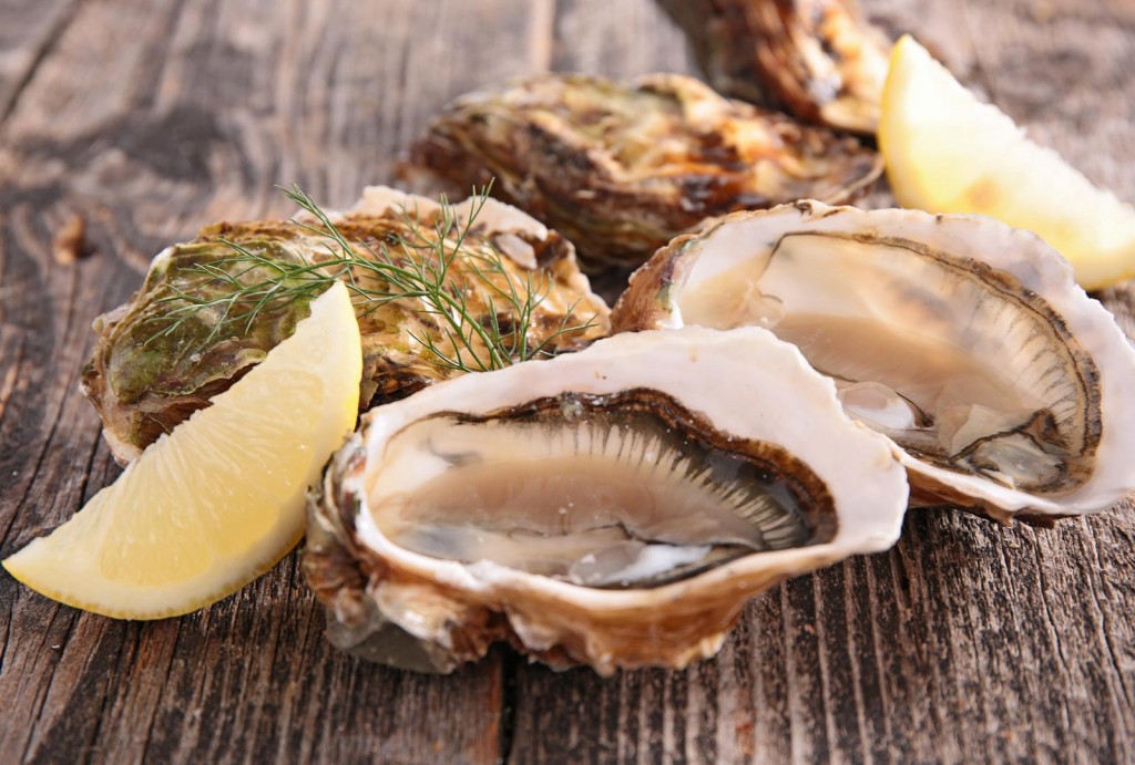 Learn About Pacific Oysters